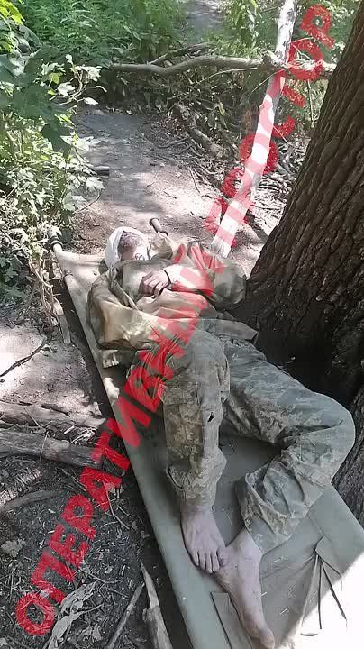     !