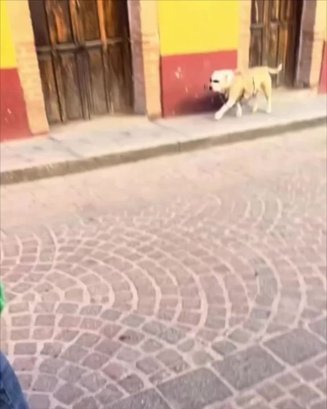     . ,   