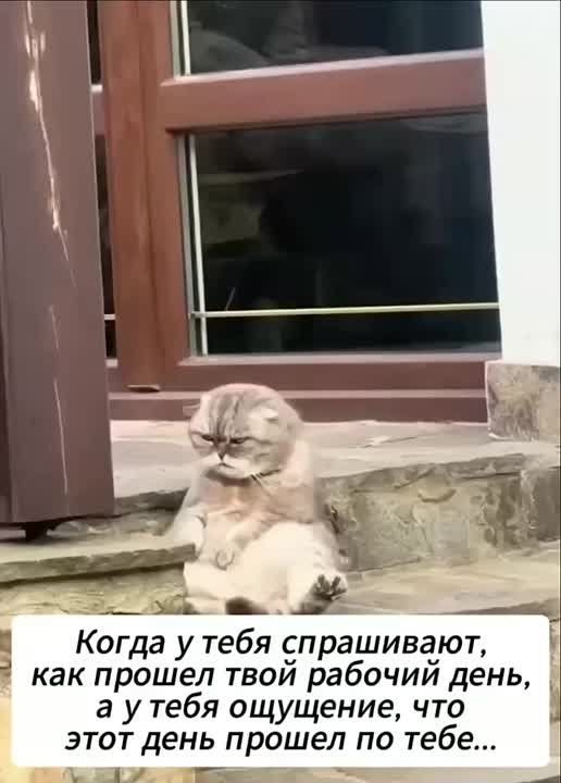 ,  .   