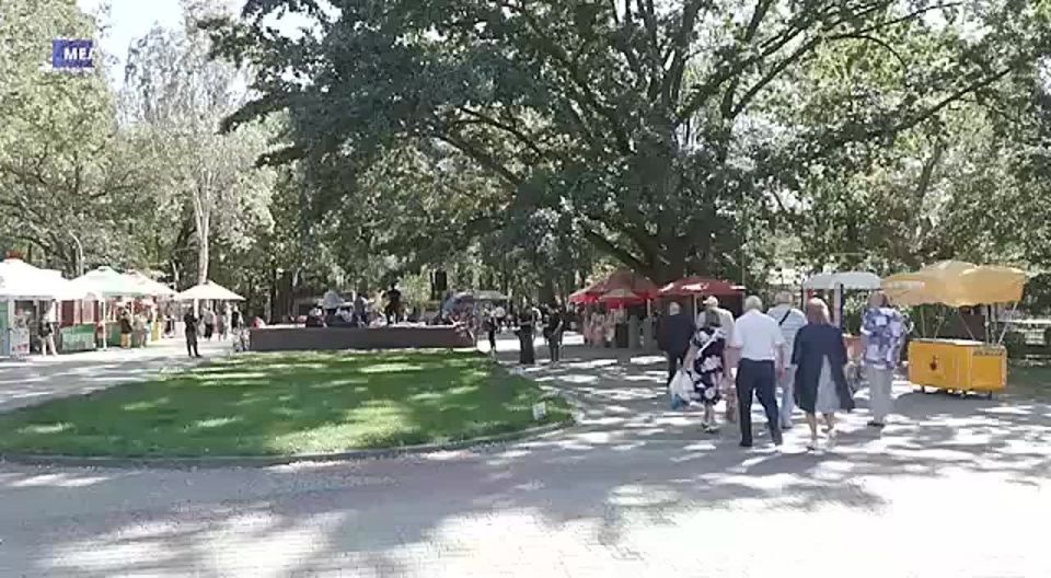   :       