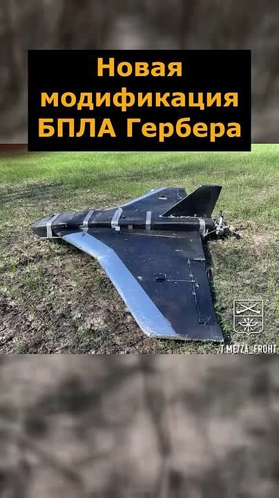   :  ,  