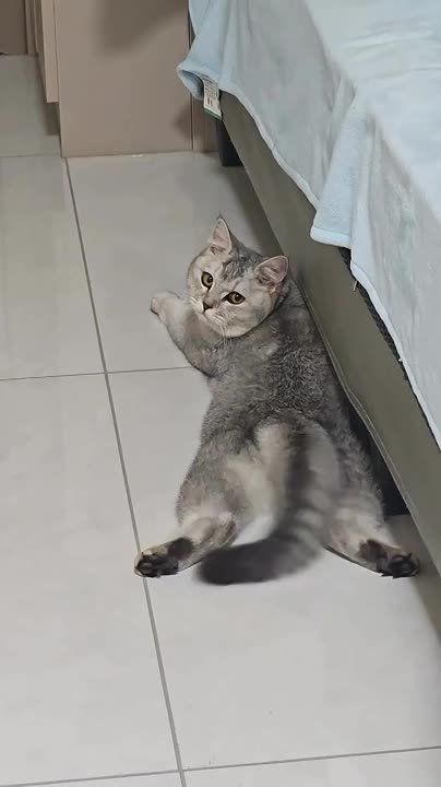   .       