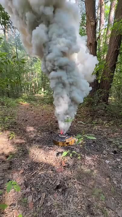      FPV
