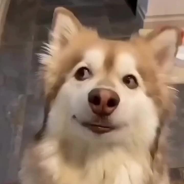   ,  !
