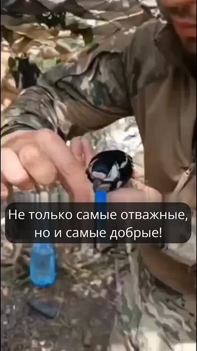      !