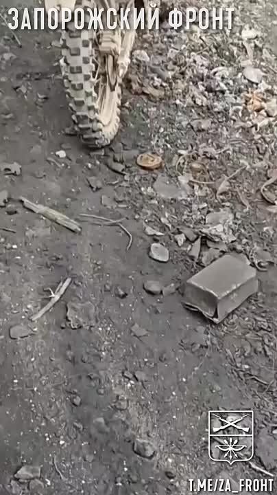   ,     ,       