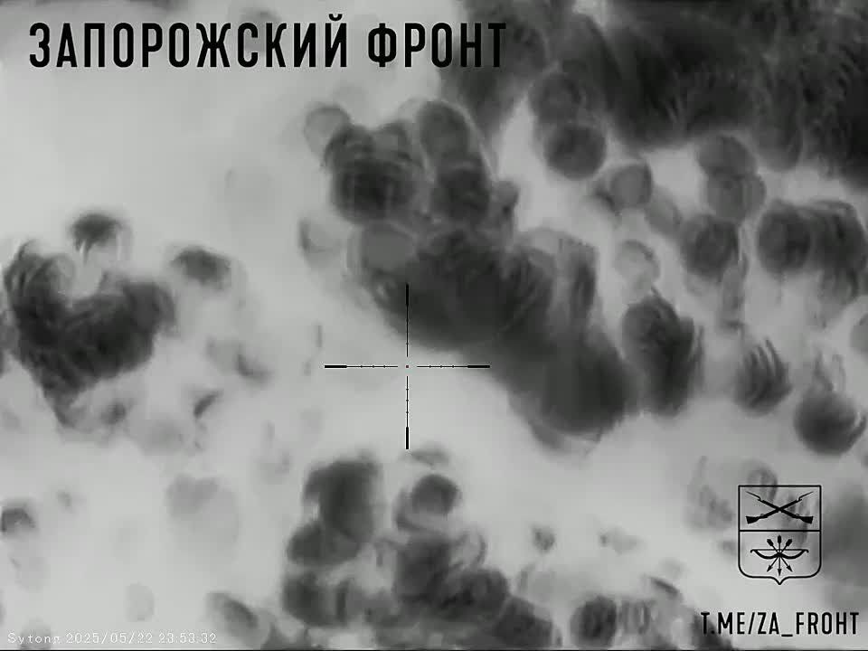   1455       -   -