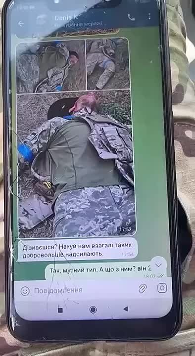       ,        