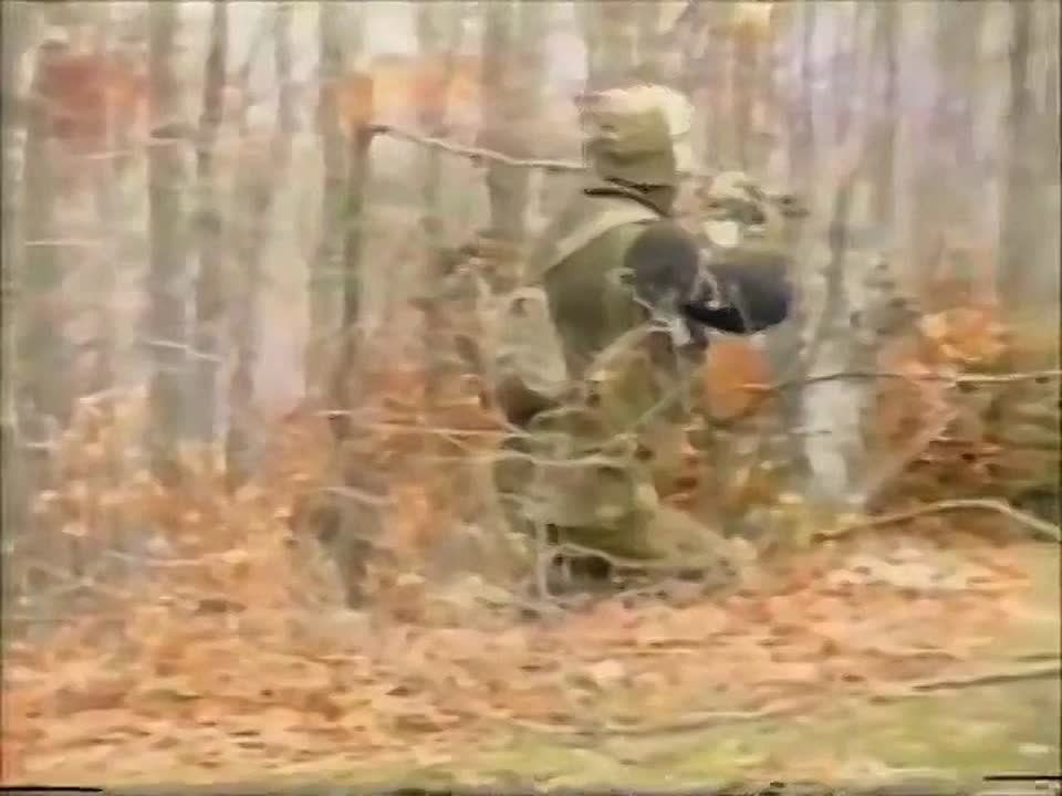 # -55  -2          , 