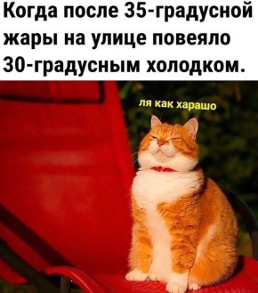 ,      ,  ?     !   !   ,  ,   &quot;    &quot;
