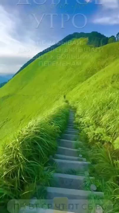   ,  !