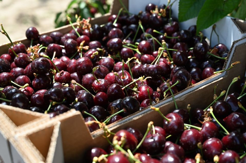 ��������������� ��������: �� ��������� ��� � ������ � �������� ����� ������