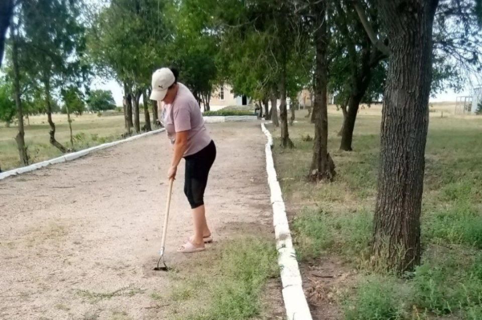          &quot;  &quot;  ,      ,        !