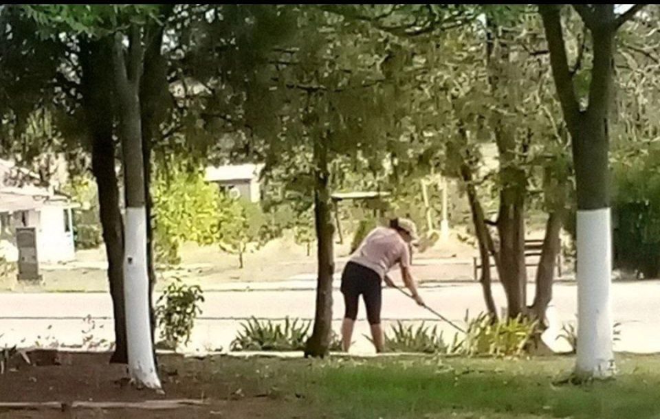          &quot;  &quot;  ,      ,        !