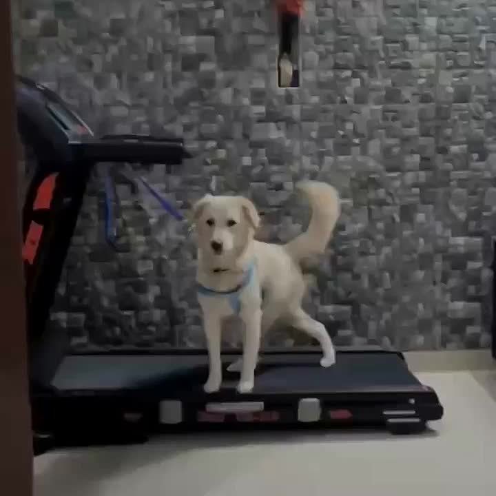     !