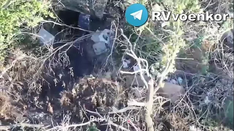 Наступление к Орехову: позиции с пехотой ВСУ пылают на Запорожском фронте