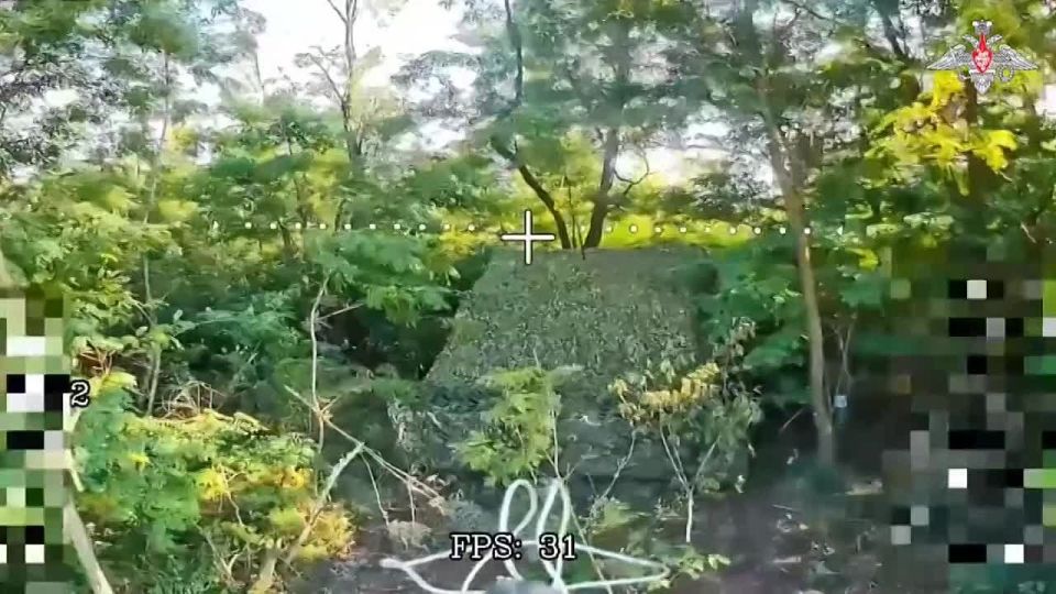     FPV -    &quot;&quot;