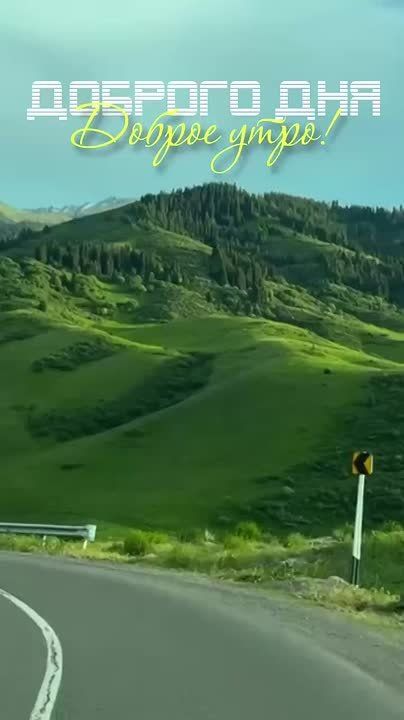  ,  !
