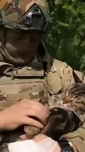   ,  !