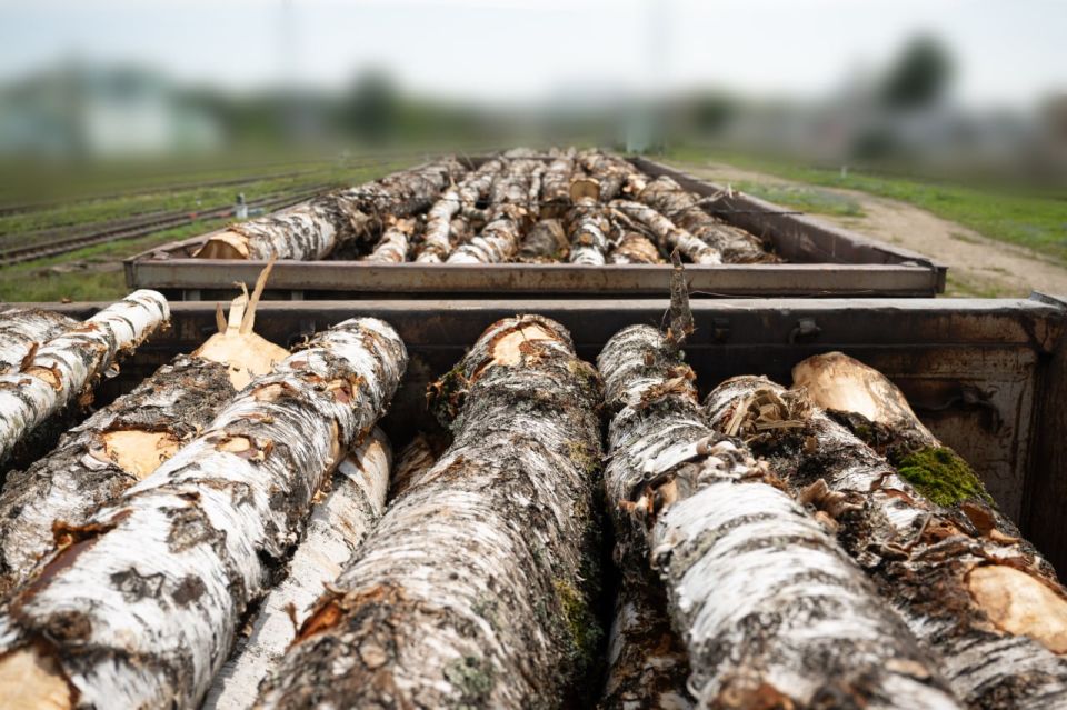 ������ �������: ����: 12 ������� ��������� � �� ����� ������ ���