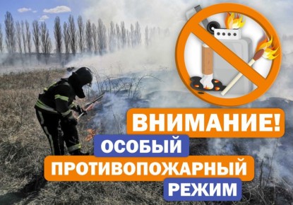 !.        ,     02.07.2025  281.         ...