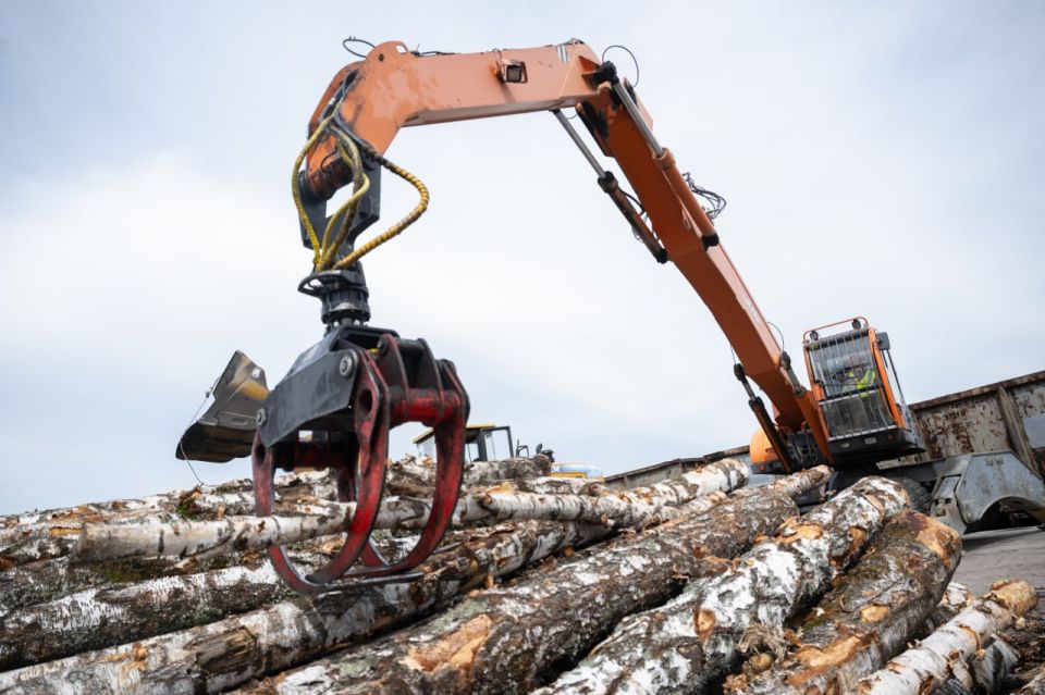 ������ �������: ��� ��� ������: ������ ���� � ������