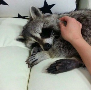  ,  !  , !