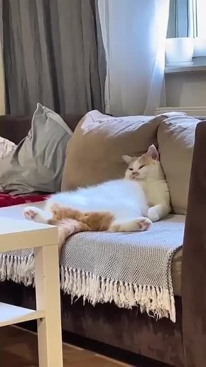    .         ,  , ,  -   