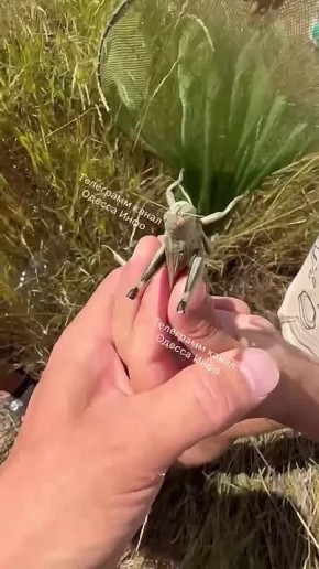  :         ,    
