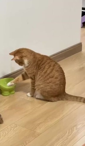    !.       