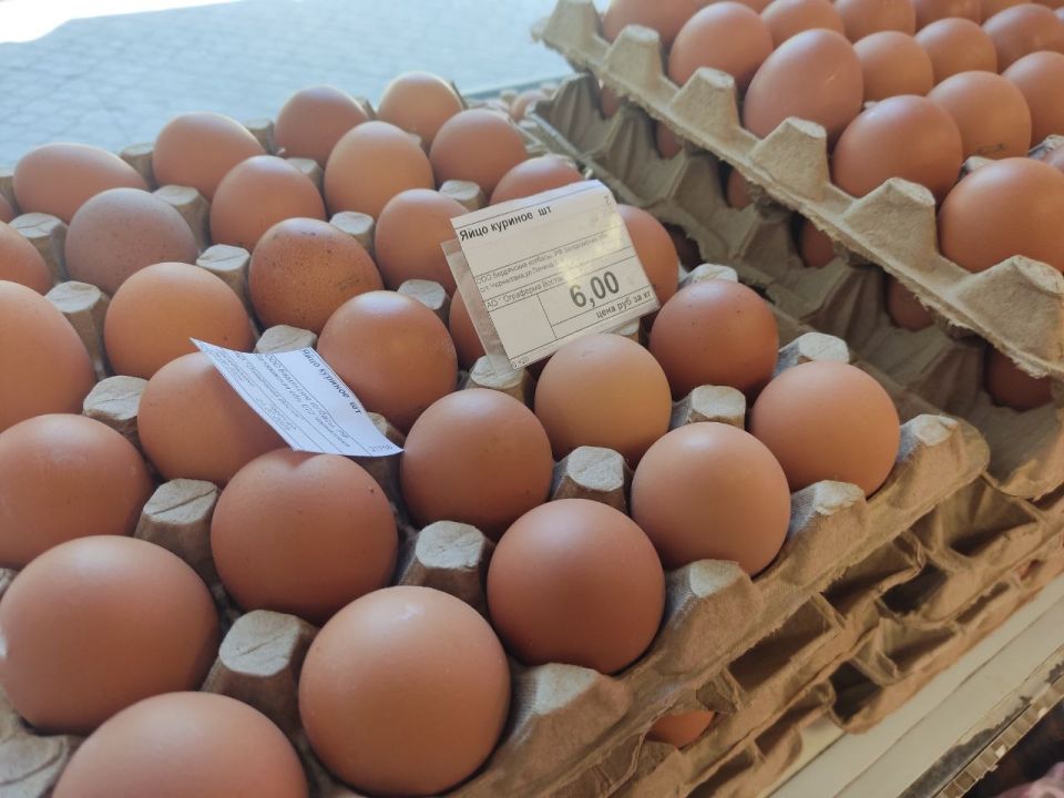 ����������� ������������ �������������� � �������� ����������� ������� ������� �������� ���������� �������� �������� ������������� �������������� ������