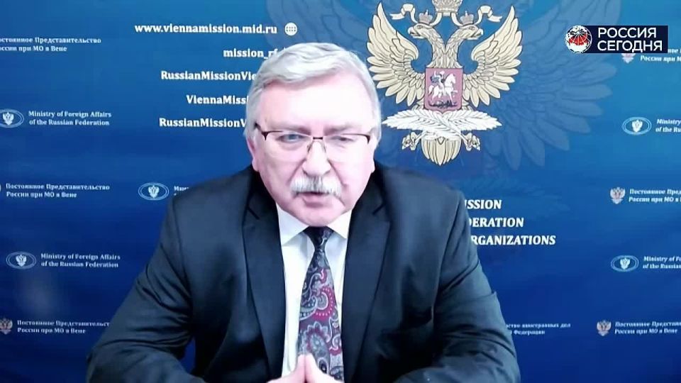 Брифинг Постоянного представителя России при международных организациях в Вене Михаила Ульянова (28 июля 2025 года)