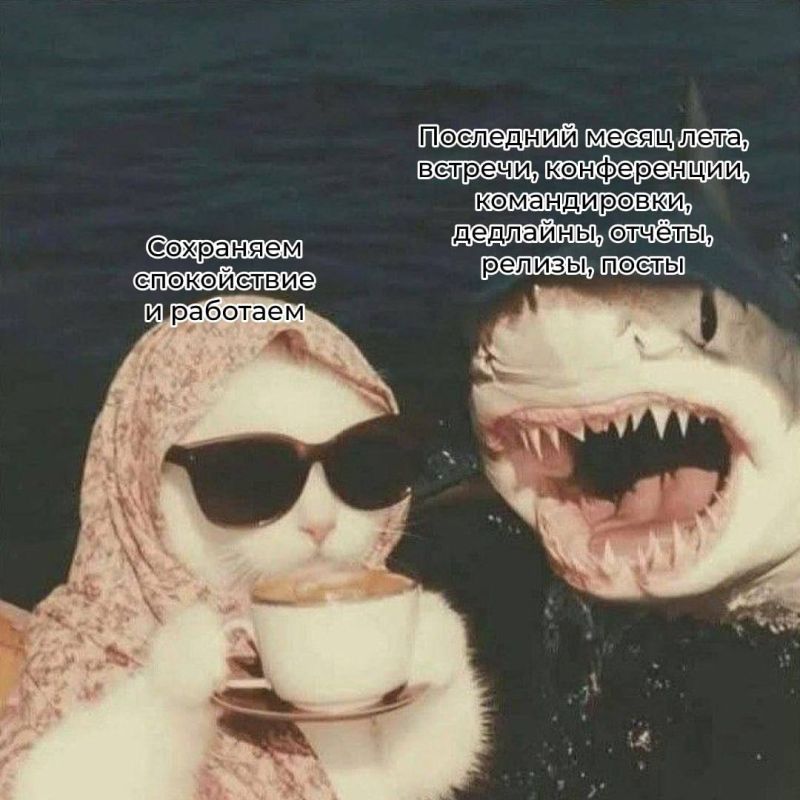 ��� ��� ��� �� ���� ������