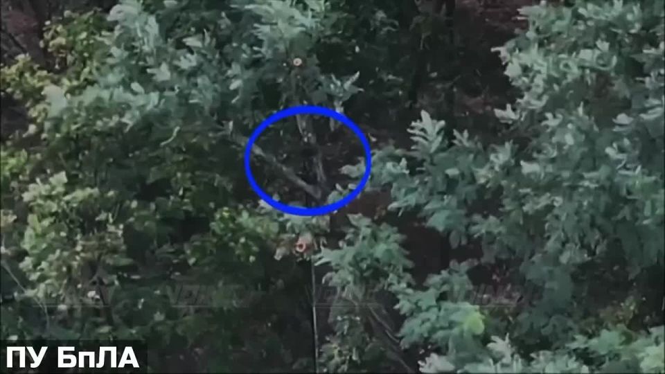  14             5    &quot;&quot;