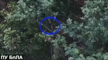  14             5    ""