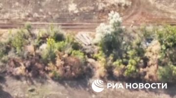    ""             ,        ""