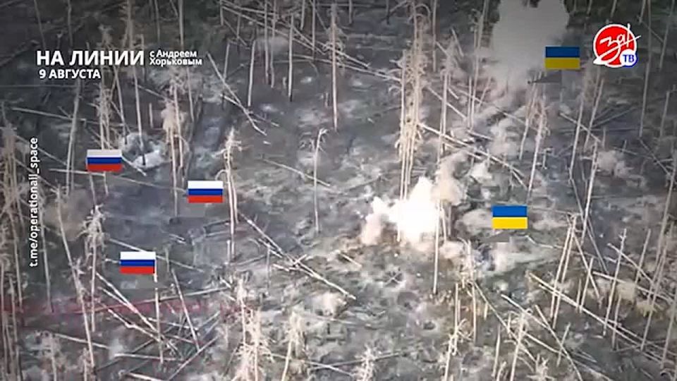 Разбираем обстановку на фронте вместе с Андреем Хорьковым в программе «На Линии» | 9 августа