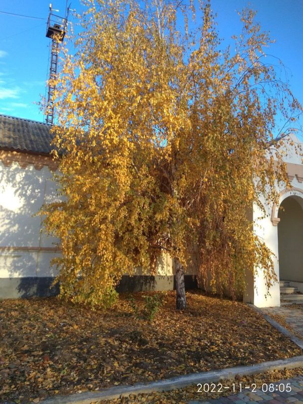 Наша любимая Акимовка в фото-работах Валентины Станковой! На конкурс Валентина прислала более 30 фото Наша любимая Акимовка в фото-работах Валентины Станковой! На конкурс Валентина прислала более 30 фото