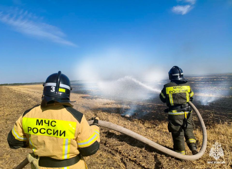 Оперативная информация за сутки