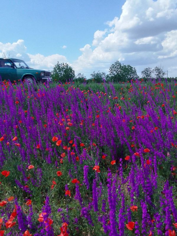 Наша любимая Акимовка в фото-работах Валентины Станковой! На конкурс Валентина прислала более 30 фото Наша любимая Акимовка в фото-работах Валентины Станковой! На конкурс Валентина прислала более 30 фото