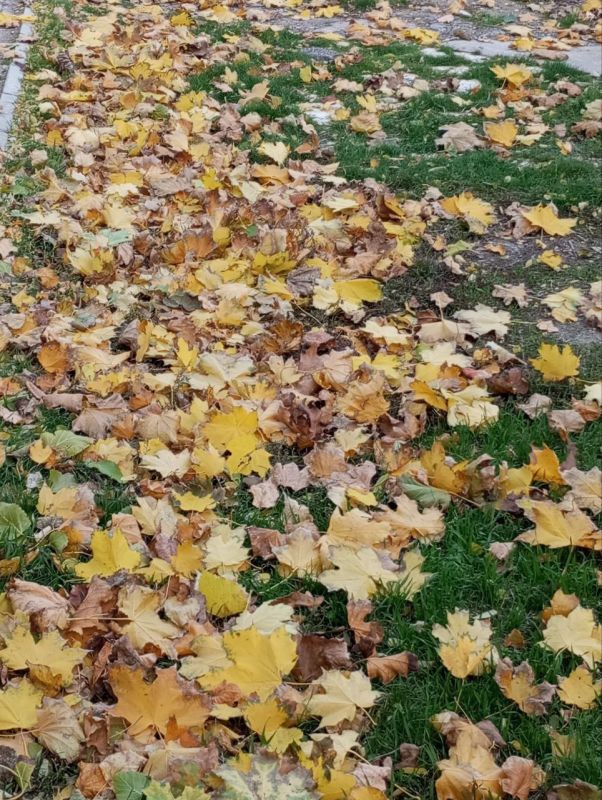 Наша любимая Акимовка в фото-работах Валентины Станковой! На конкурс Валентина прислала более 30 фото Наша любимая Акимовка в фото-работах Валентины Станковой! На конкурс Валентина прислала более 30 фото