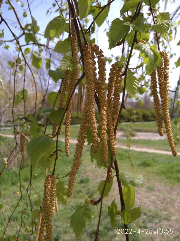 Наша любимая Акимовка в фото-работах Валентины Станковой! На конкурс Валентина прислала более 30 фото Наша любимая Акимовка в фото-работах Валентины Станковой! На конкурс Валентина прислала более 30 фото