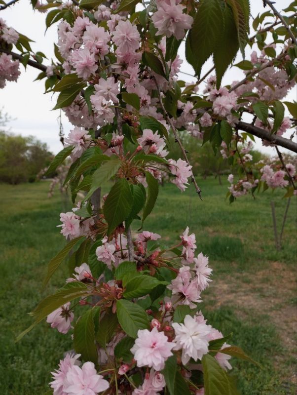 Наша любимая Акимовка в фото-работах Валентины Станковой! На конкурс Валентина прислала более 30 фото Наша любимая Акимовка в фото-работах Валентины Станковой! На конкурс Валентина прислала более 30 фото