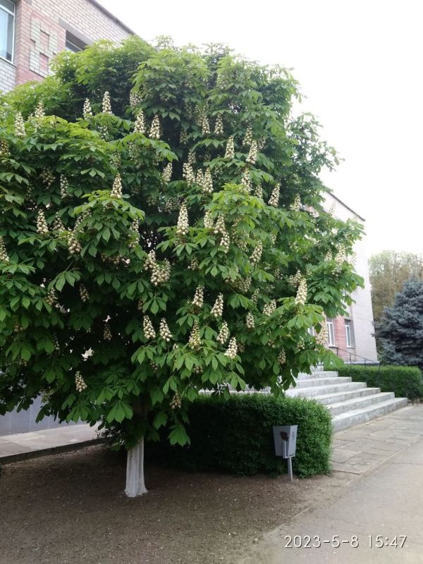 Наша любимая Акимовка в фото-работах Валентины Станковой! На конкурс Валентина прислала более 30 фото Наша любимая Акимовка в фото-работах Валентины Станковой! На конкурс Валентина прислала более 30 фото