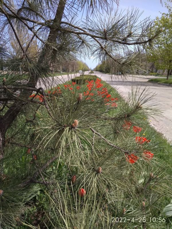 Наша любимая Акимовка в фото-работах Валентины Станковой! На конкурс Валентина прислала более 30 фото Наша любимая Акимовка в фото-работах Валентины Станковой! На конкурс Валентина прислала более 30 фото