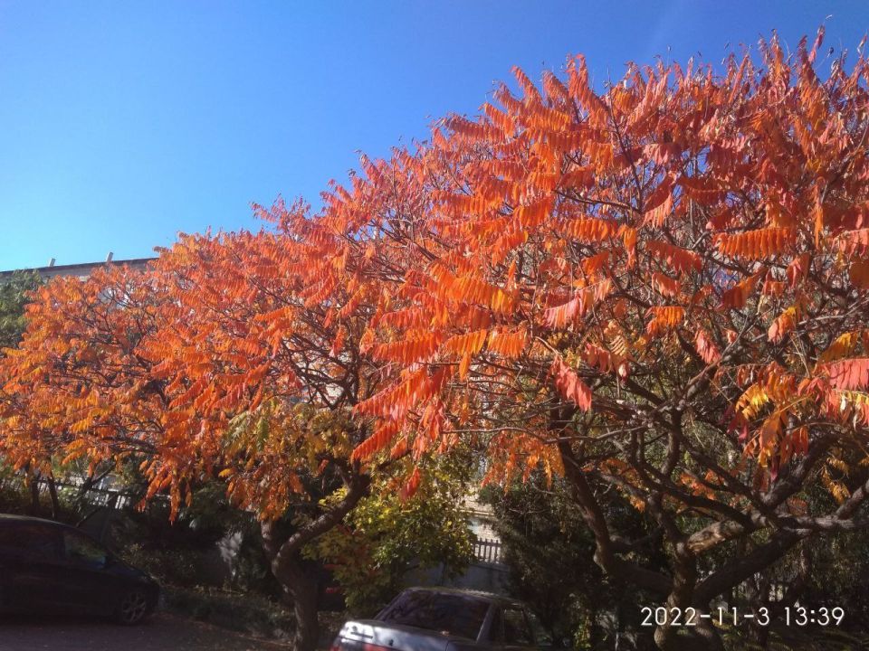 Наша любимая Акимовка в фото-работах Валентины Станковой! На конкурс Валентина прислала более 30 фото Наша любимая Акимовка в фото-работах Валентины Станковой! На конкурс Валентина прислала более 30 фото