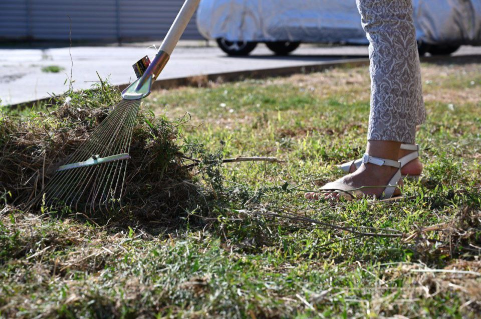 ���, ����, ������!. ������� ���������� ������������ �������������� �������� ����������� ������� ������� ��������� �� ������ ����������, ����������� � ������ �����������