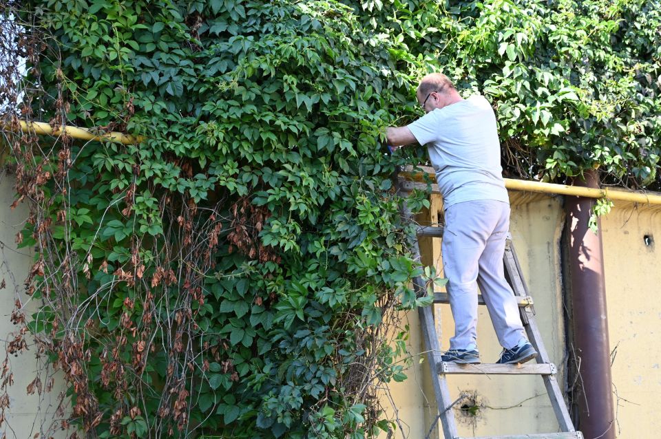 ���, ����, ������!. ������� ���������� ������������ �������������� �������� ����������� ������� ������� ��������� �� ������ ����������, ����������� � ������ �����������