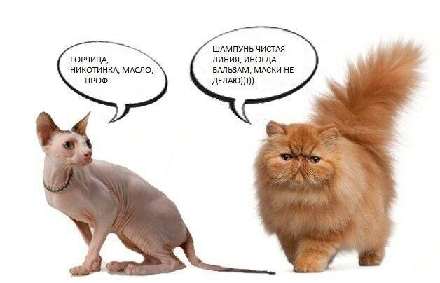   ,   :     