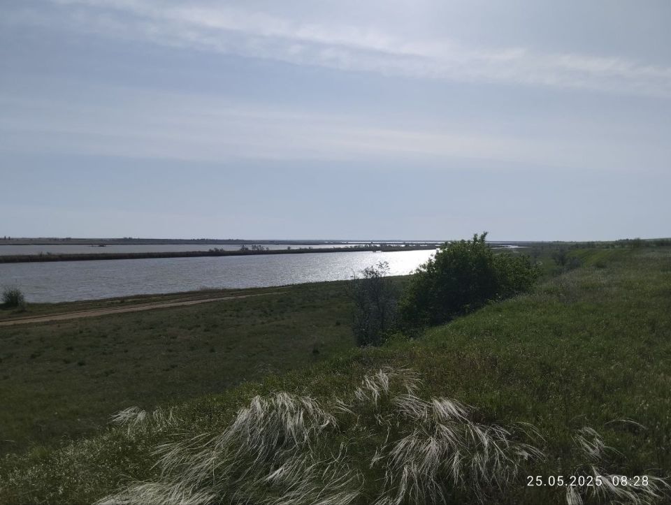     (     )   ,   &quot;  -  &quot;